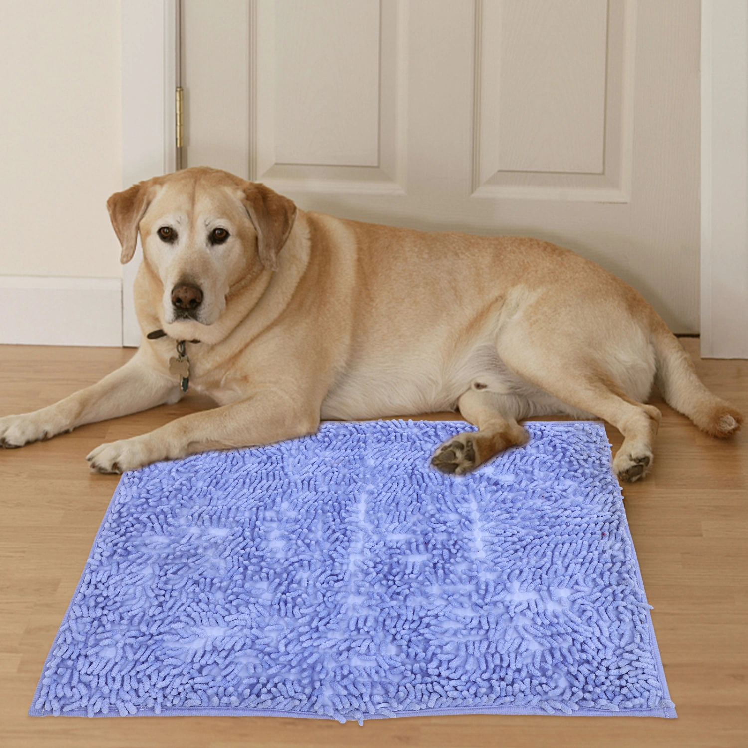 Household Door Mat Anti-skid Bath Rug Water Absorbent Bath Rug Home Accessory
