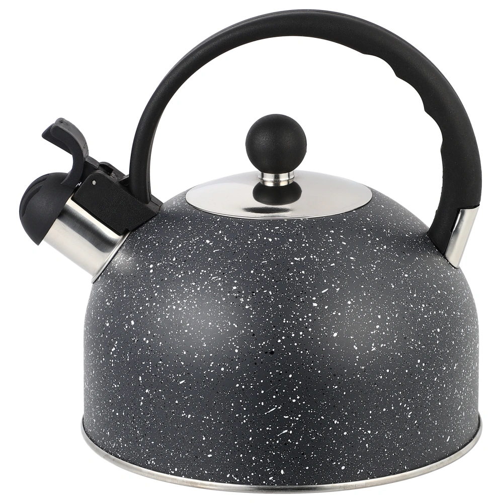 2.5L Stainless Steel Kettle Boiling Kettle Whistling Kettle Practical Teakettle