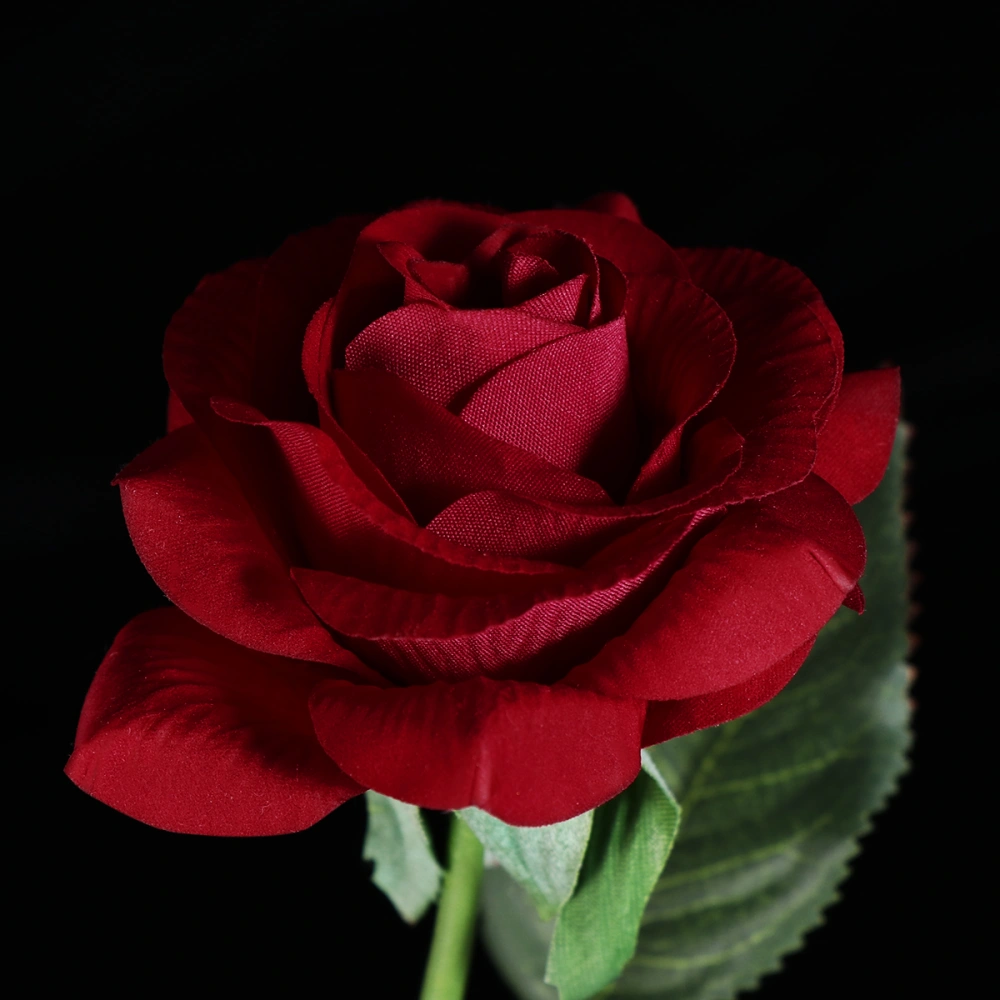 LEDMOMO Red Silk Rose and Led Light in a Glass Dome on A Wooden Base for Wedding Birthday Party Club Decoration (Single Rose)