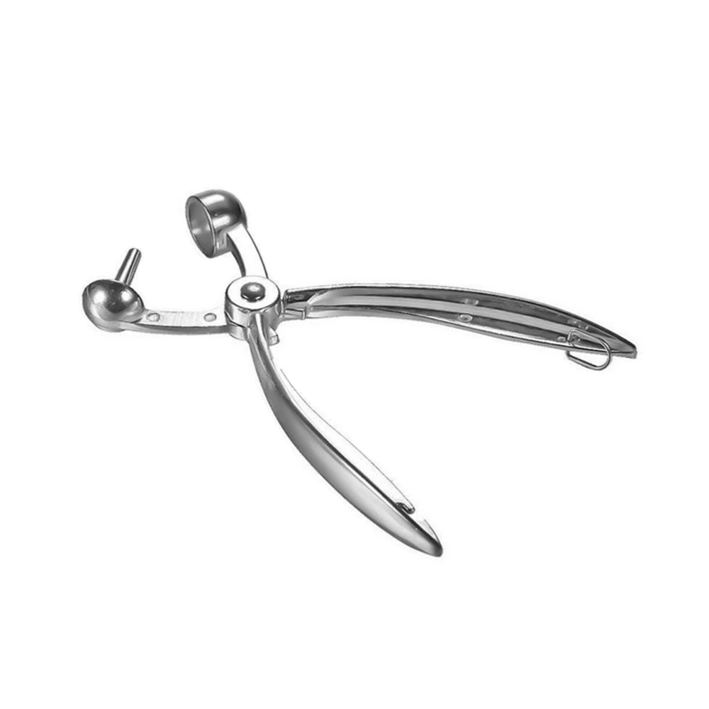 Fruit Cherry and Olive Pitter