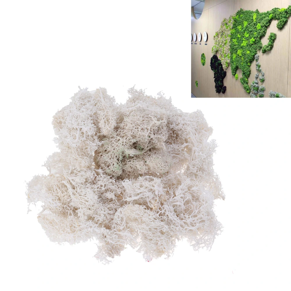 Preserved Fresh Moss DIY Floral Material Accessory Beautiful Decoration for Wedding Party Garden 50g (White)