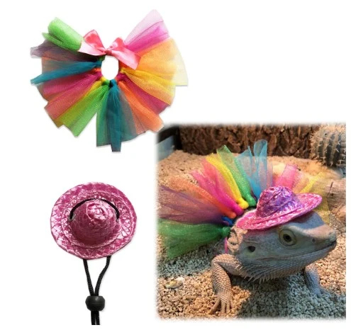 1 Set Bearded Dragon Costume Bearded Dragon Hat Tutu Skirt Small Pet Costume Props
