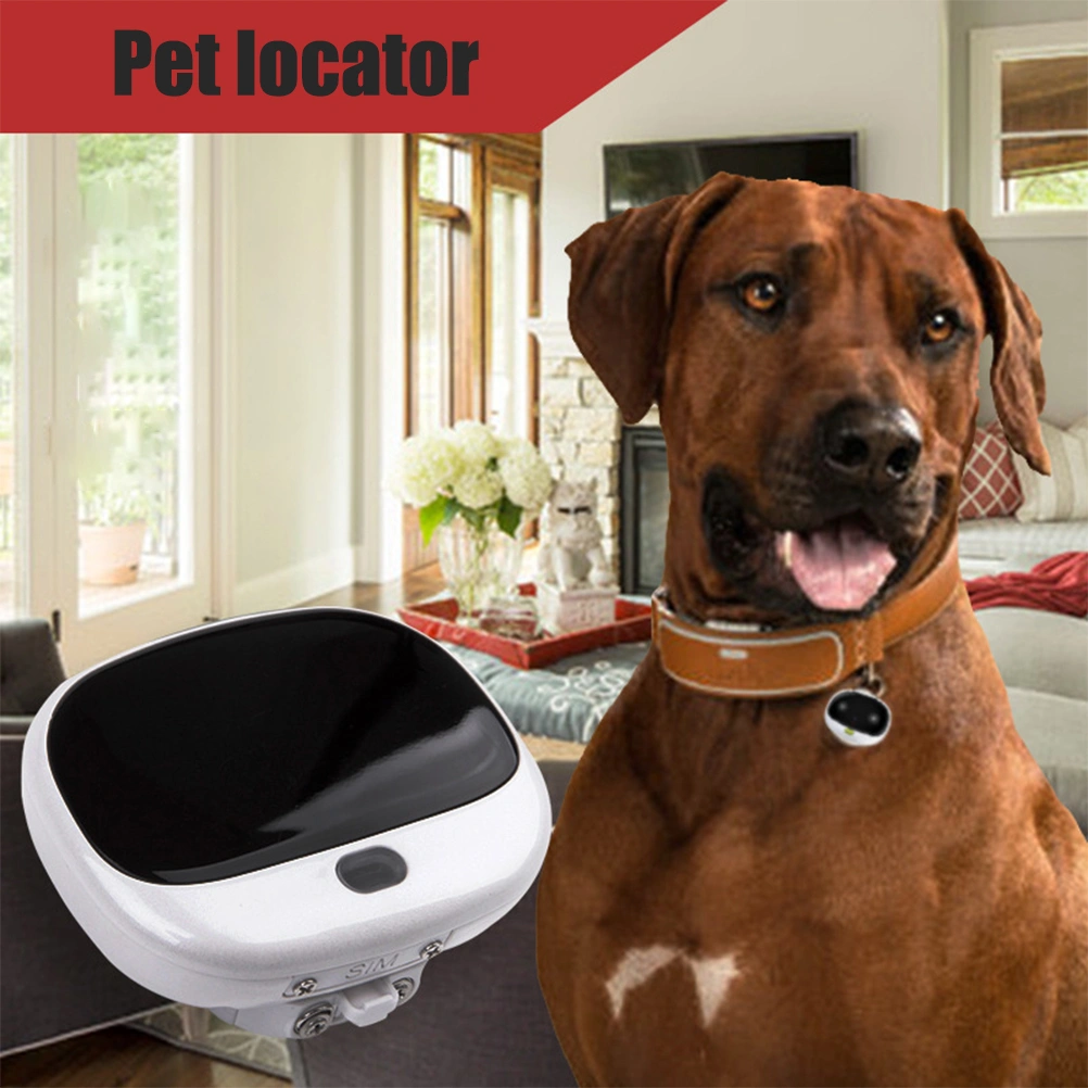 4G GPS Pet Real Time Tracking Collar Device Waterproof Activity Monitor Smart Locator