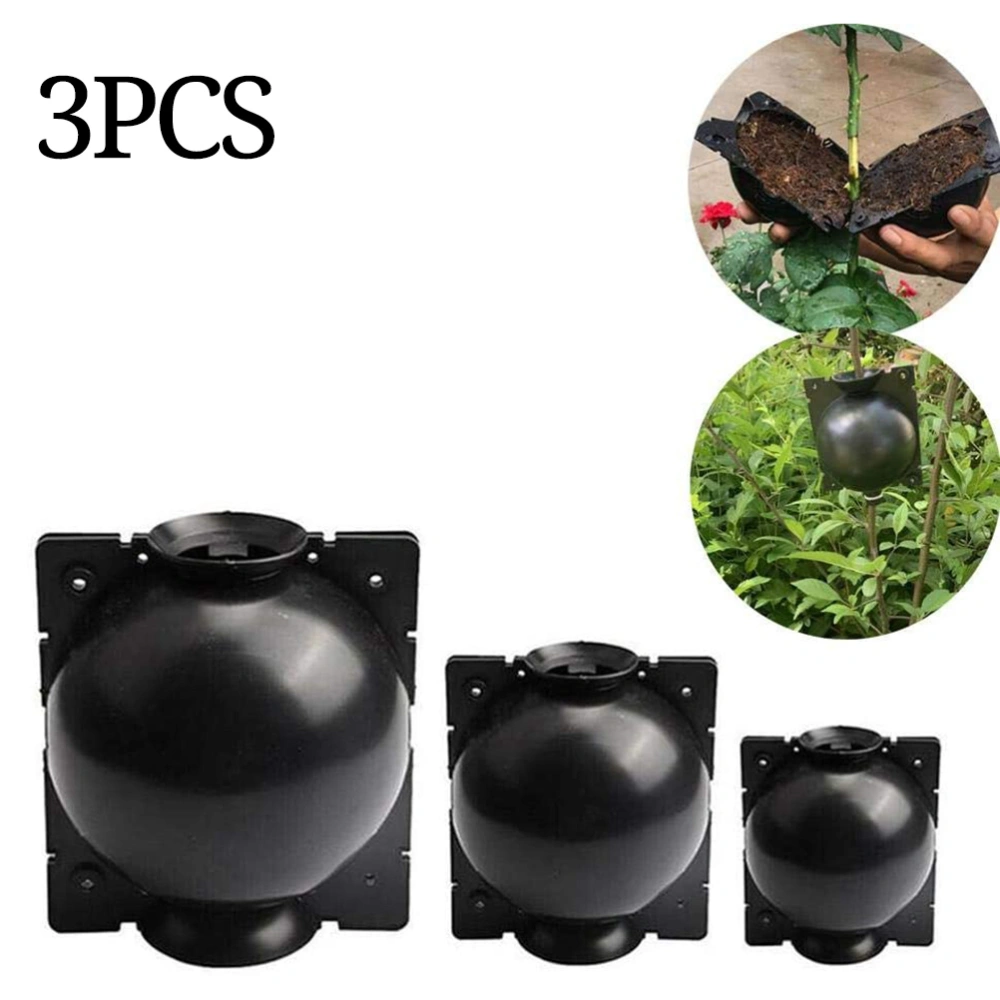 3pcs Plant Rooting Sphere Graft Rooting Growing Box Breeding Crate for Garden Plants