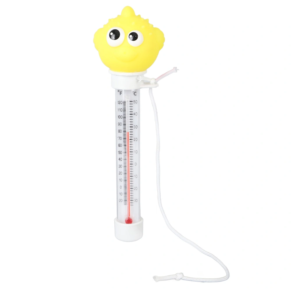 Swimming Pool Floating Thermometer Decorative Accurate Floating Water Temperature Meter Gauge Type 5