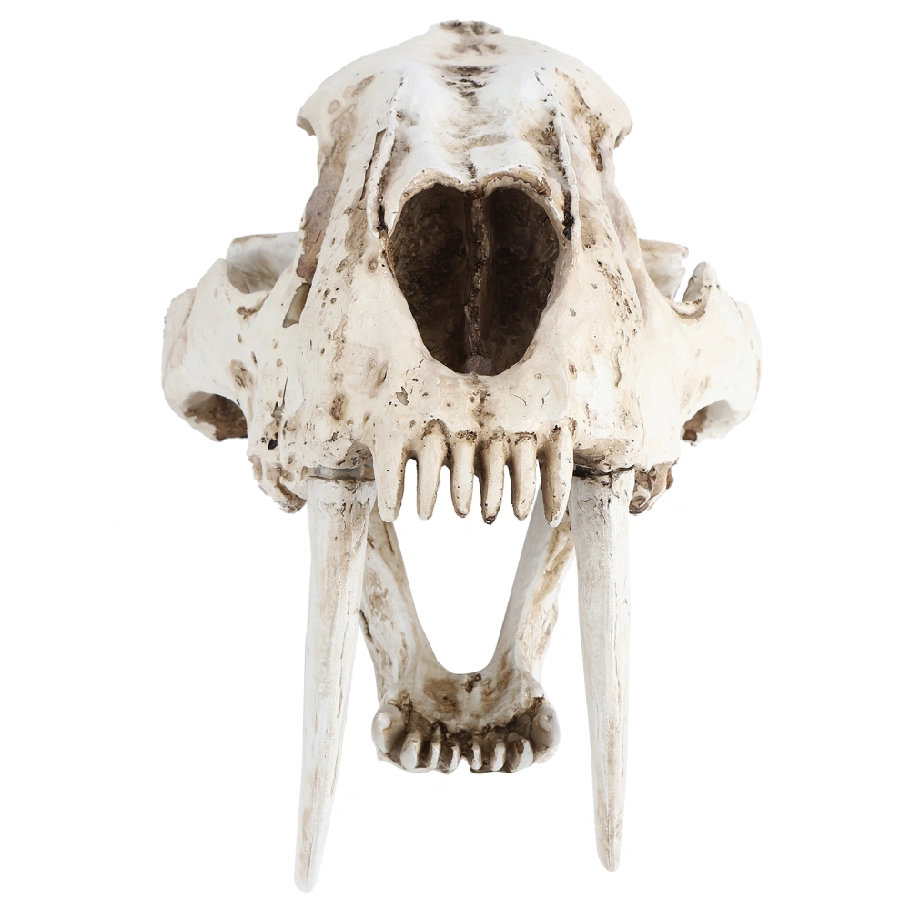 Simulation Animal Skull Model Resin Tiger Skull Model Interior Decoration Props Ornaments