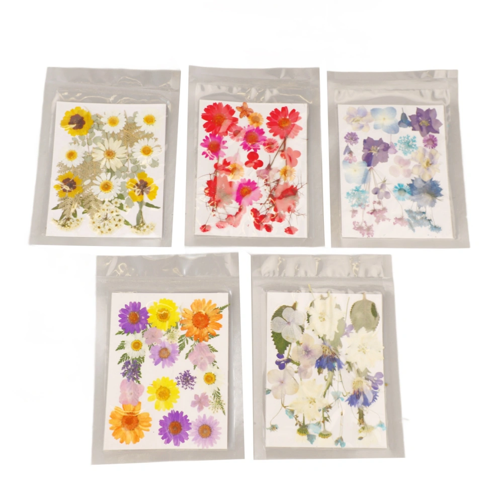 5 Bags Pressed Flowers Assorted Styles Vibrant Rich Details Multi Purpose Colorful Dried Flowers for DIY Mold Bookmark Type 1