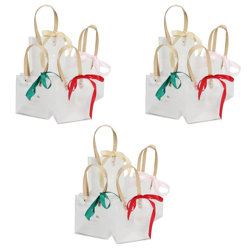 12Pcs Clear Gift Bags with Handles Reusable Frosted Plastic for Boutiques Parties Events