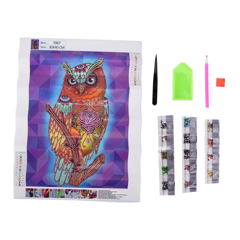 Rhinestone Painting Relaxing Interesting Owl Pattern Bright Colors DIY Drawing Kit for Professionals