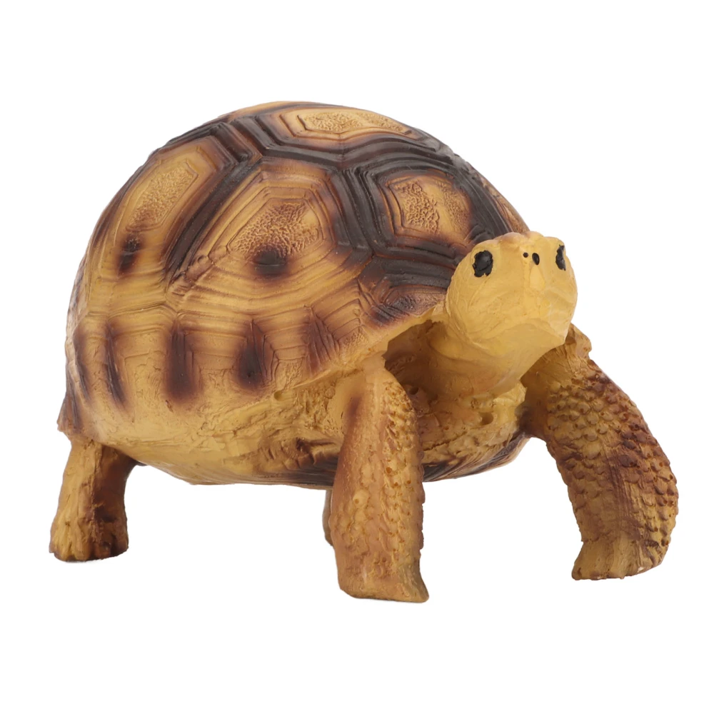 Turtle Figurine Simulated Safe Odorless Decorative Ornament Resin Tortoise Model Toy for Children Collector