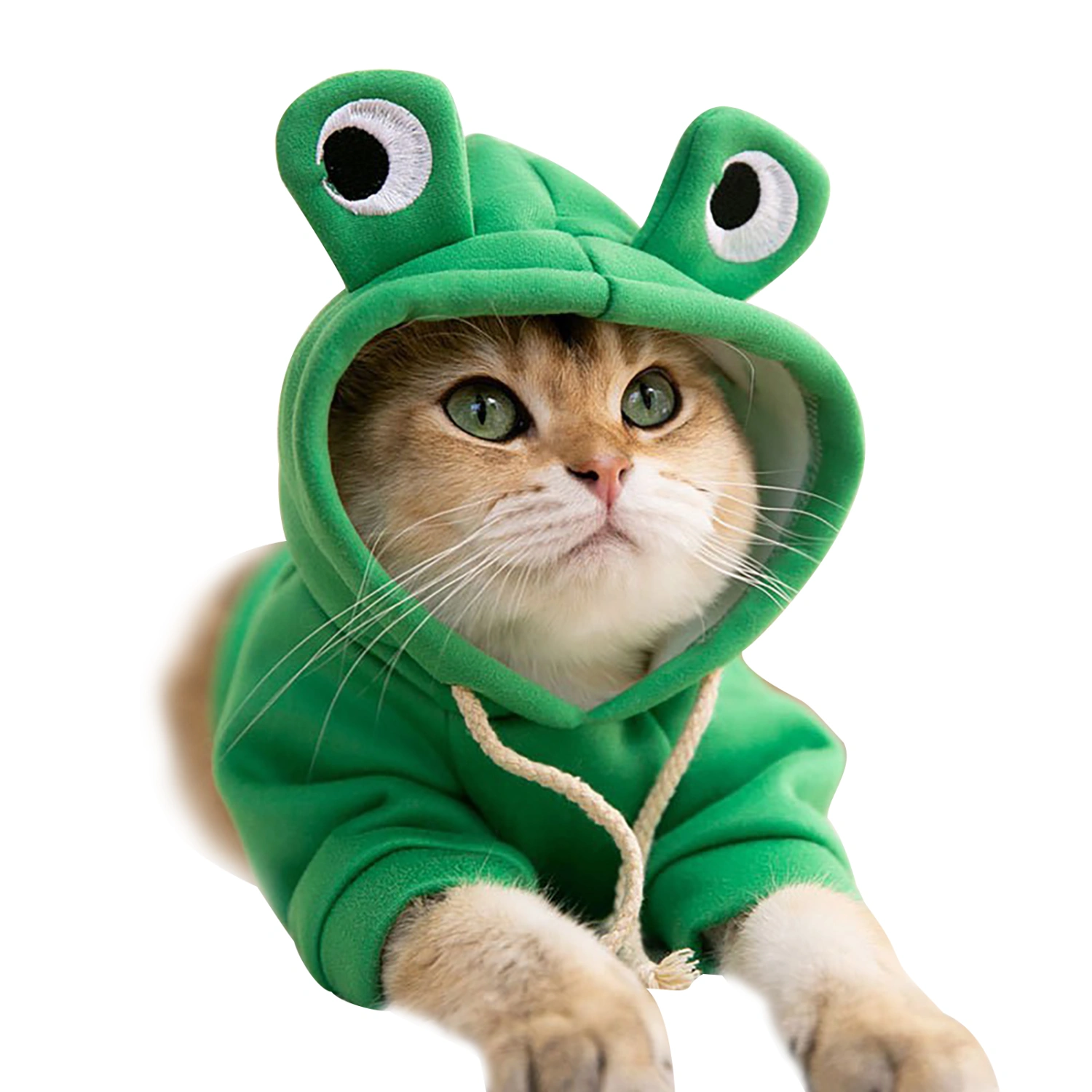 Cat Hoodies Stylish Cute Animal Autumn Winter Warm Cat Adorable Costume for Cats Kittens Puppies Big Eyed Frog in Costume M (Recommended Weight 2.5‑4kg/5.5‑8.8lb)