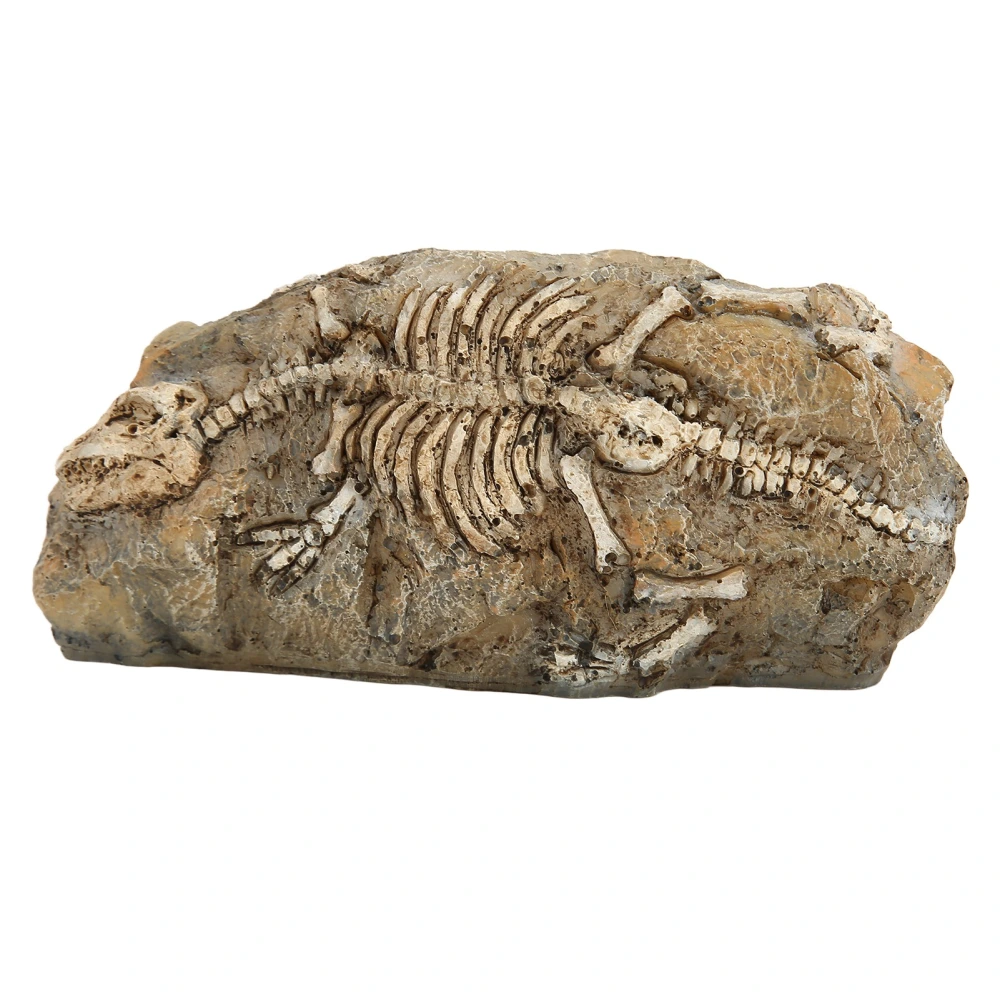 Aquarium Dinosaur Fossil Decoration Reptile Resin Dinosaur Fossil Rock Hideout for Fish Tank Aquarium