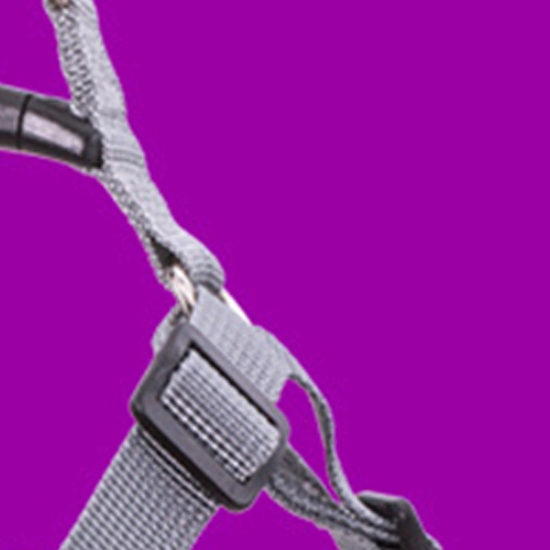 Pet Harness Breathable Reflective Strip Dog Harness with 1.5m Leash for Small and Medium Dogs Purple S