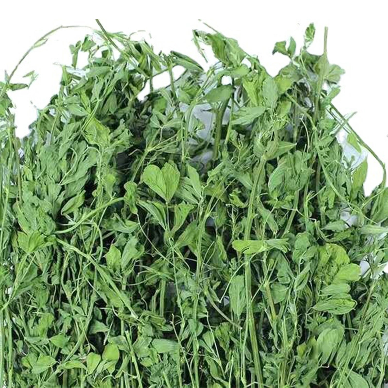 Alfalfa Hay Dried Alfalfa Grass for Chinchillas Dutch Pig Rabbit Hamster Guinea Pigs