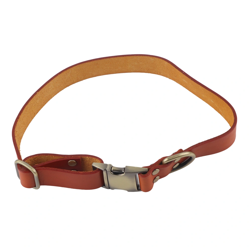 Leather Dog Collar Soft Padded Leather Pet Collar with Engraved Buckle for Small Medium Large Cats and DogsOrange 31‑50cm / 12.2‑20in