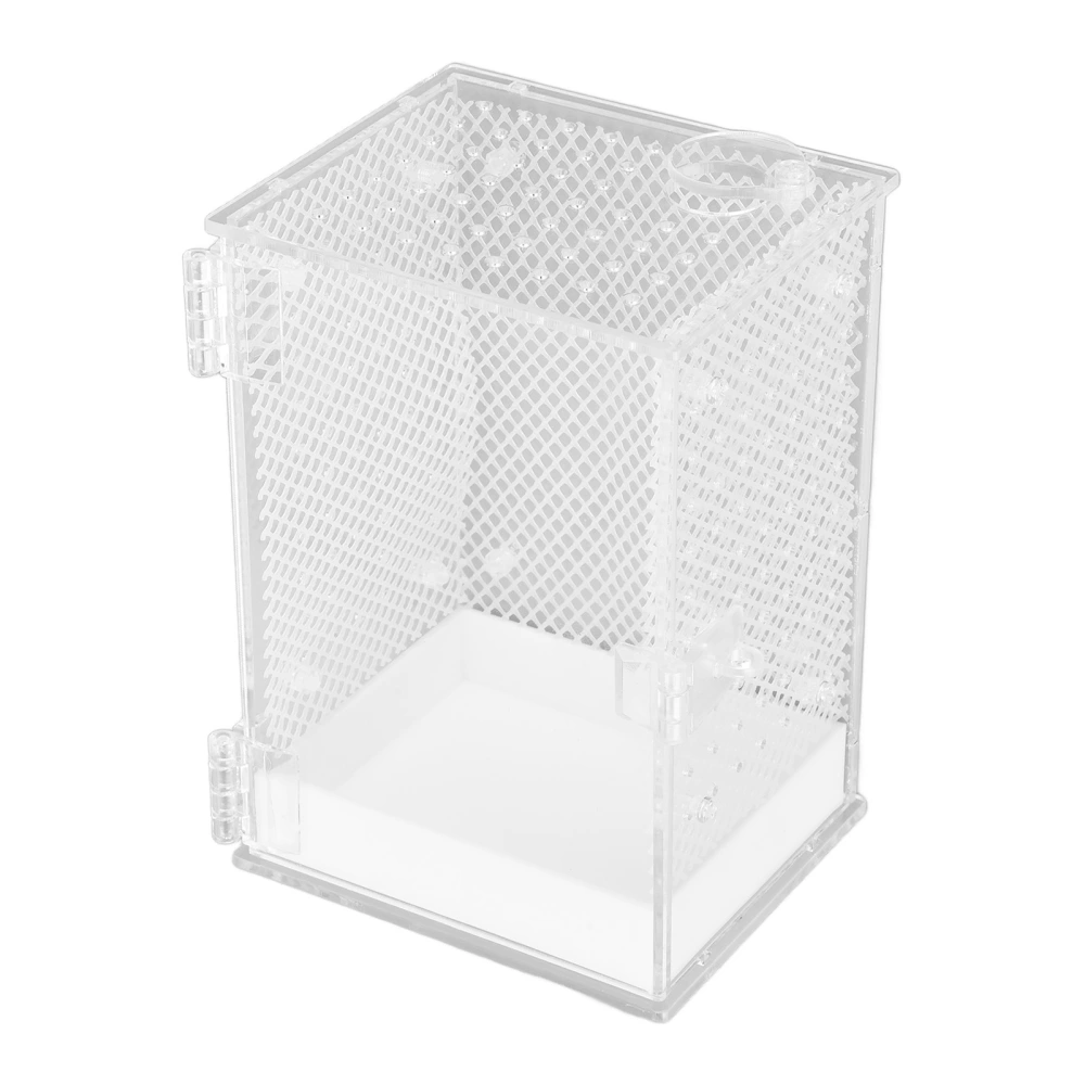 Mantis Breeding Box Acrylic Insect Feeding Cage Insect Landscaping Box with Feeding Hole