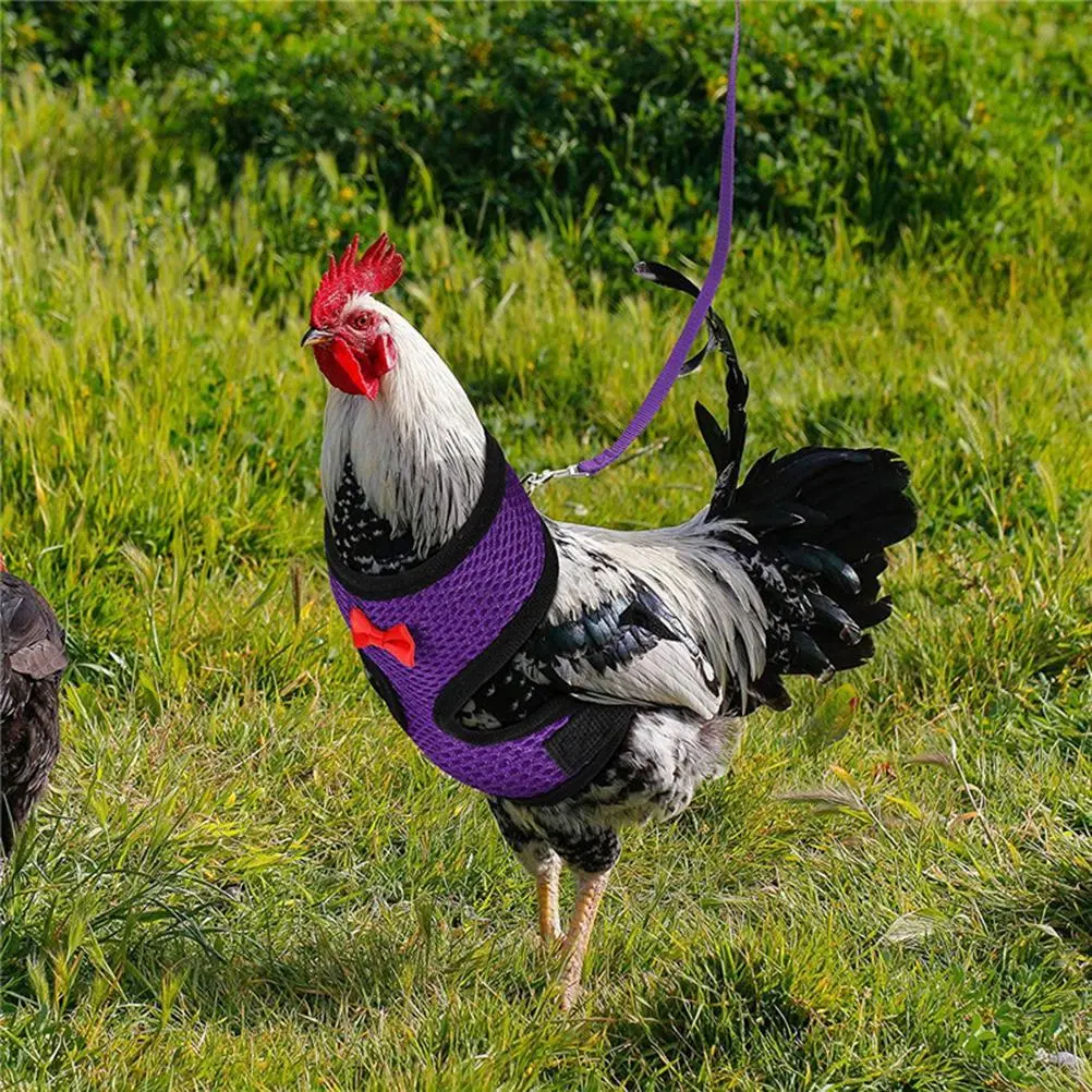 Adjustable Chicken Harness with Leash Breathable Hen Pet Vest with 3.6 Feet Matching Belt Outdoor Training Traction Rope for Pets Duck Goose Red L
