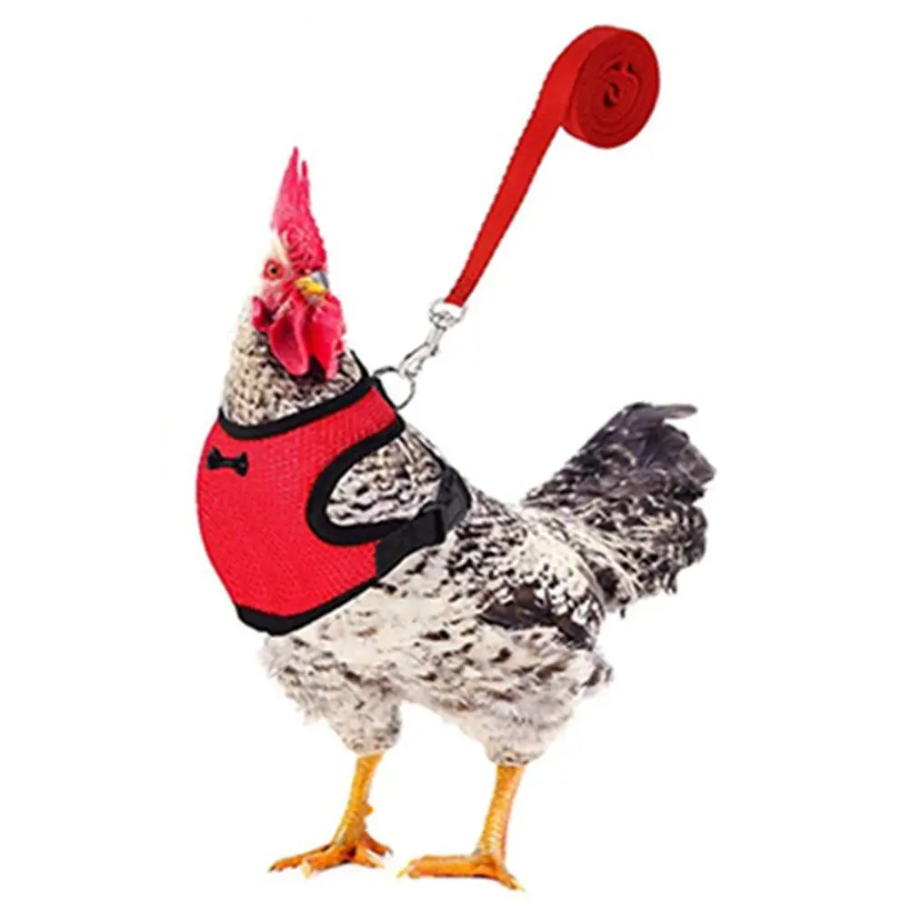 Adjustable Chicken Harness with Leash Breathable Hen Pet Vest with 3.6 Feet Matching Belt Outdoor Training Traction Rope for Pets Duck Goose Red L