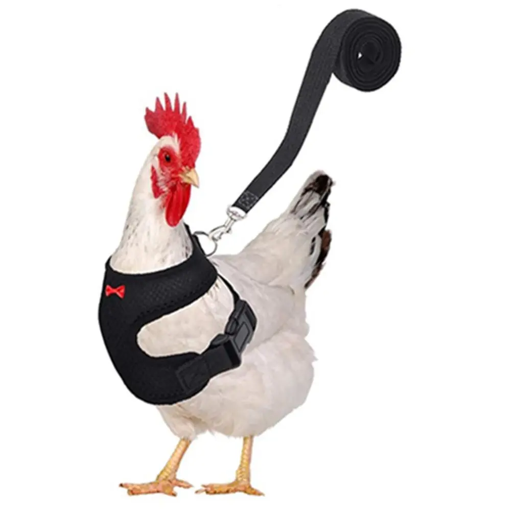 Adjustable Chicken Harness with Leash Breathable Hen Pet Vest with 3.6 Feet Matching Belt Outdoor Training Traction Rope for Pets Duck Goose Black S