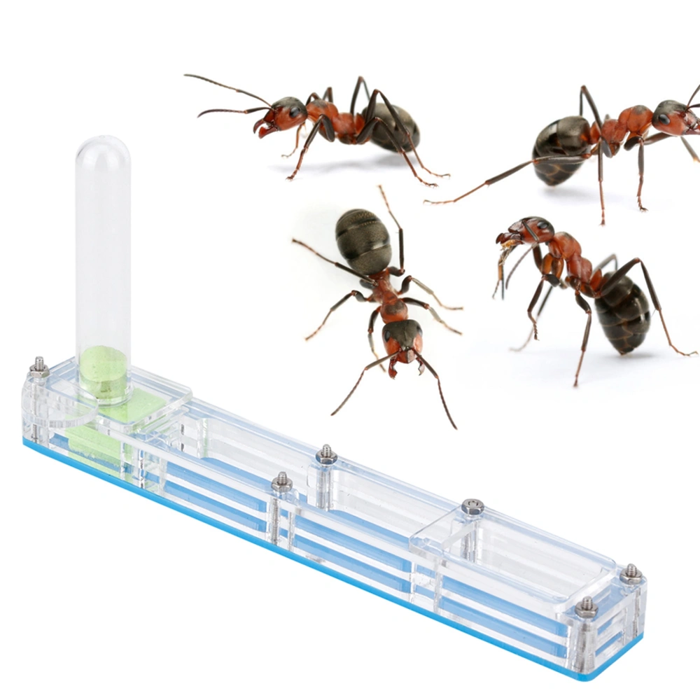 Acrylic Ant Breeding House Nest Formicarium Display Box with Water Tower Moisturizingblue