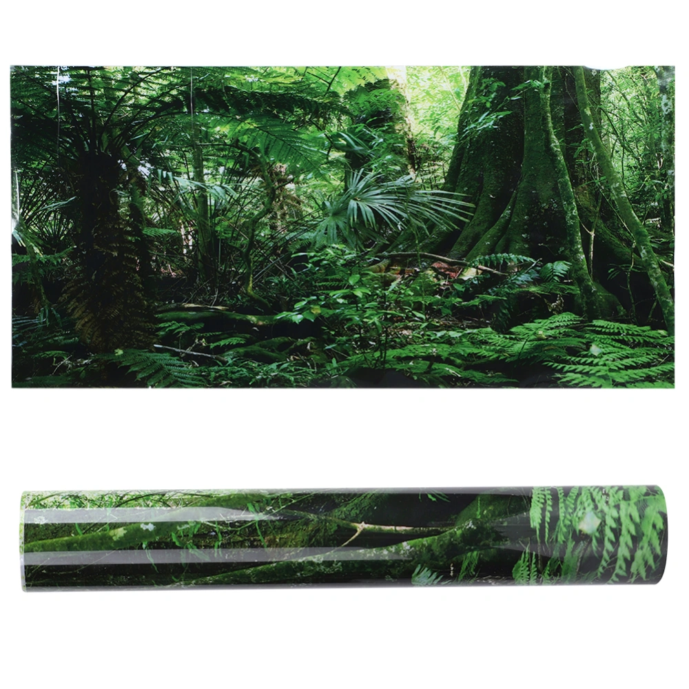 PVC Reptile Box Rainforest Background Poster Fish Tank Wall Picture Painting Decoration Self Adhesive Sticker(61*30cm )