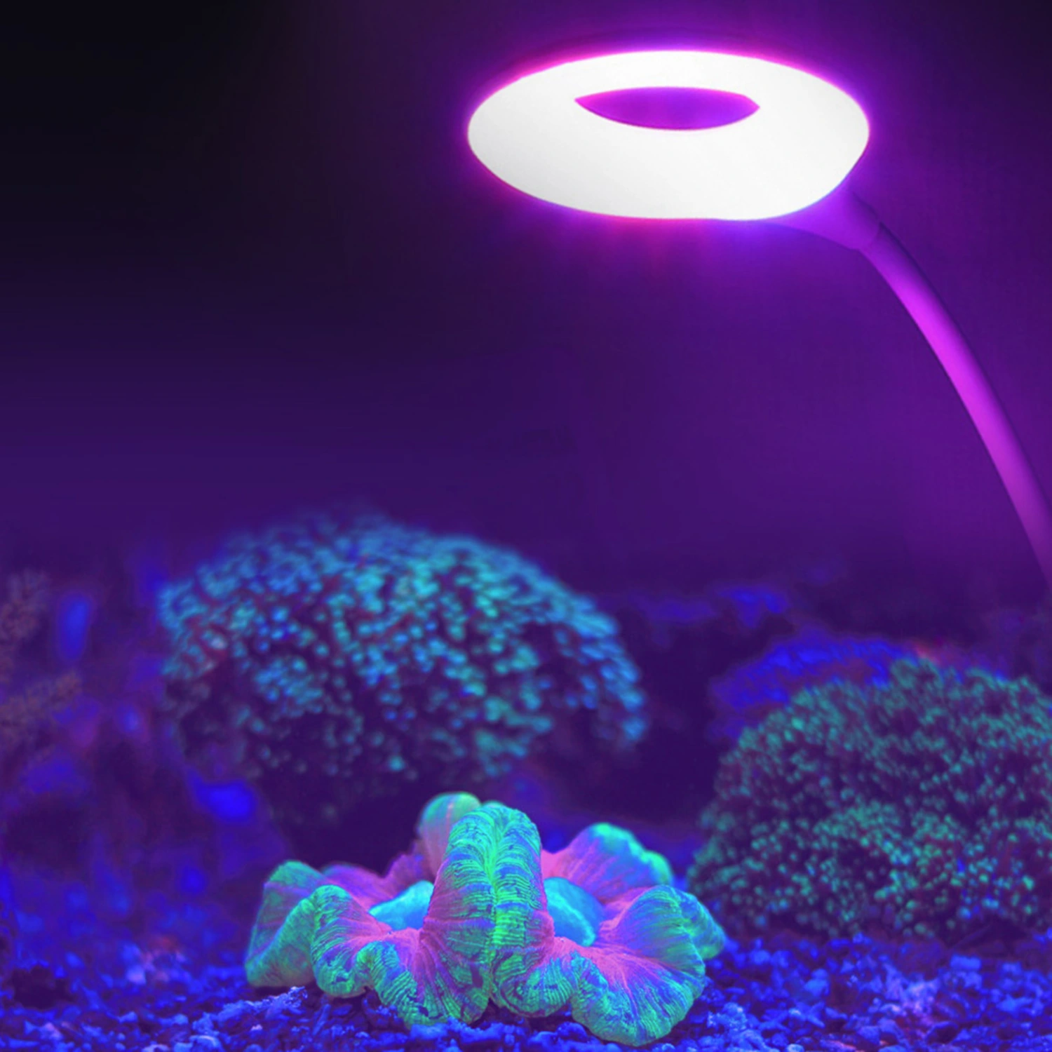 3W USB LED Plant Grow Lamp Adjustable Fish Tank Water Pants Light White
