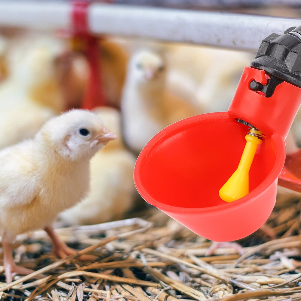 10Pcs Plastic Automatic Poultry Bird Water Drinking Dispenser Chicken Water Drinker Tool(C)