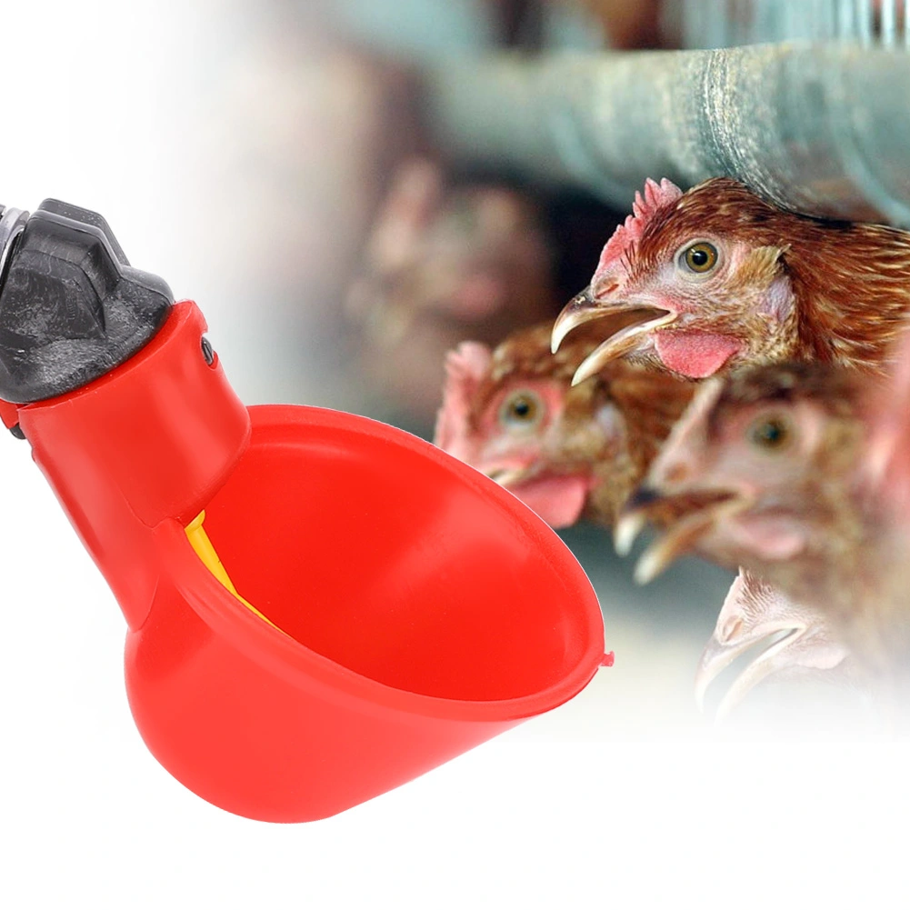 10Pcs Plastic Automatic Poultry Bird Water Drinking Dispenser Chicken Water Drinker Tool(C)