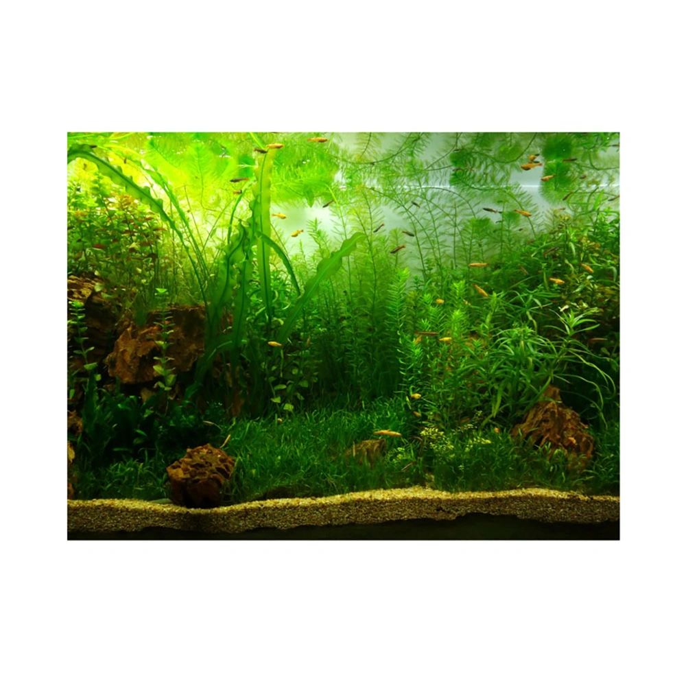 Water Grass Style Aquarium Fish Tank Background Poster PVC Adhesive Decor Paper (122*61cm)