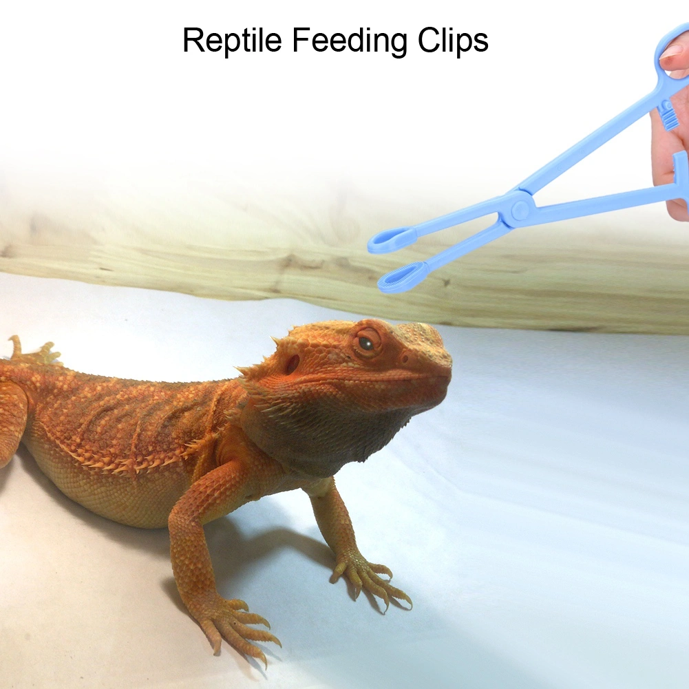 Plastic Reptile Terrarium Lizards Turtles Tongs Clips Tweezers Pet Raising Feeding Tool
