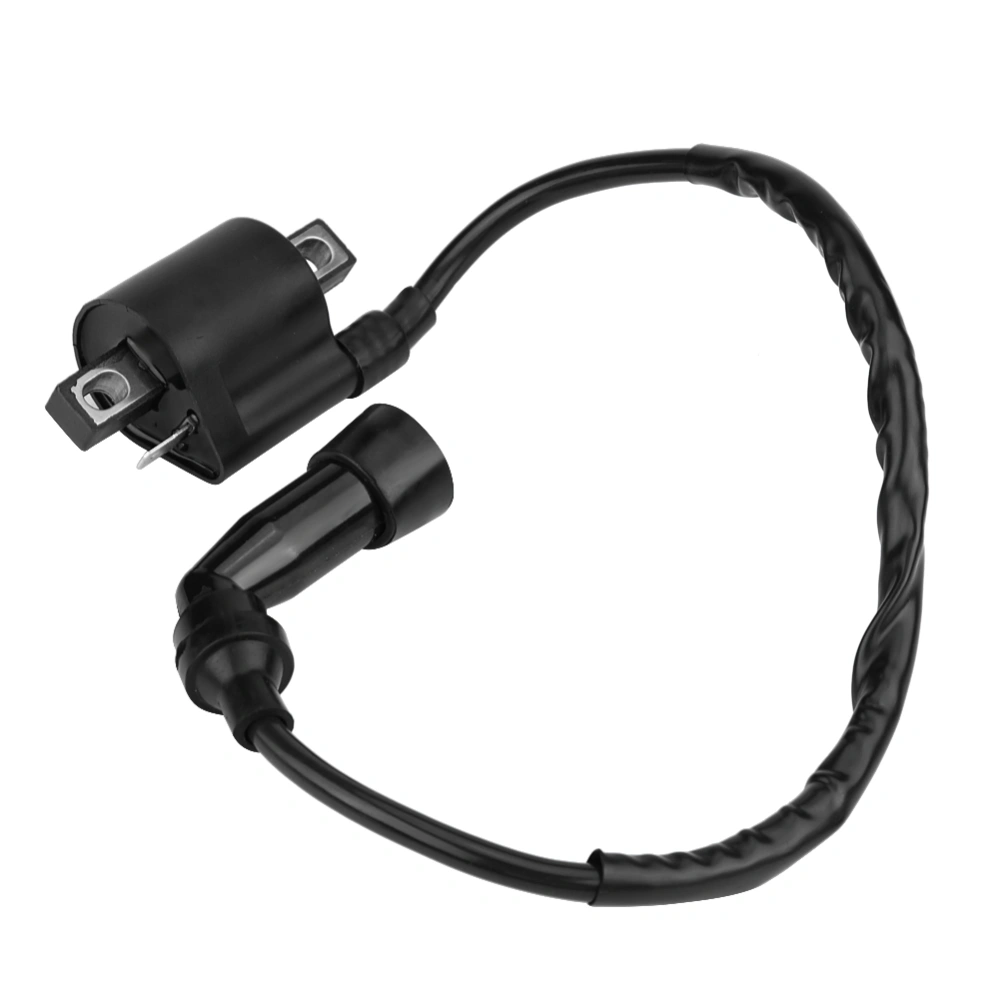 BuyWeek Motorcycle Ignition Coil for Yamaha Bear Tracker 250 ATV 1999 2000 2001 2002 2003 2004 Black