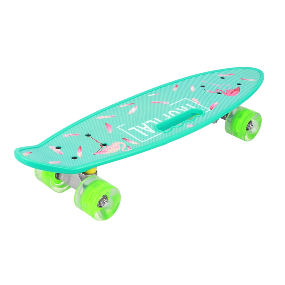 Longboard Small Fish Skateboard Handheld Board for Youth Kids Beginners with Flashing