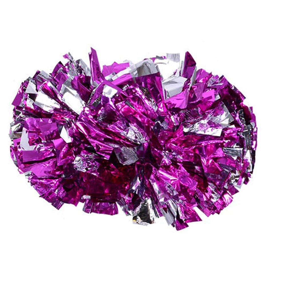 Cheerleader Aerobics Pom Poms Pompoms for Dance Party School Sports Competition (Rose Silver)