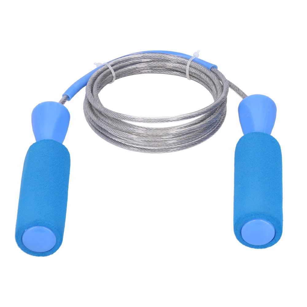 Fitness Steel Wire Jumping Rope Workout Training Skipping Rope for Men and WomenBlue