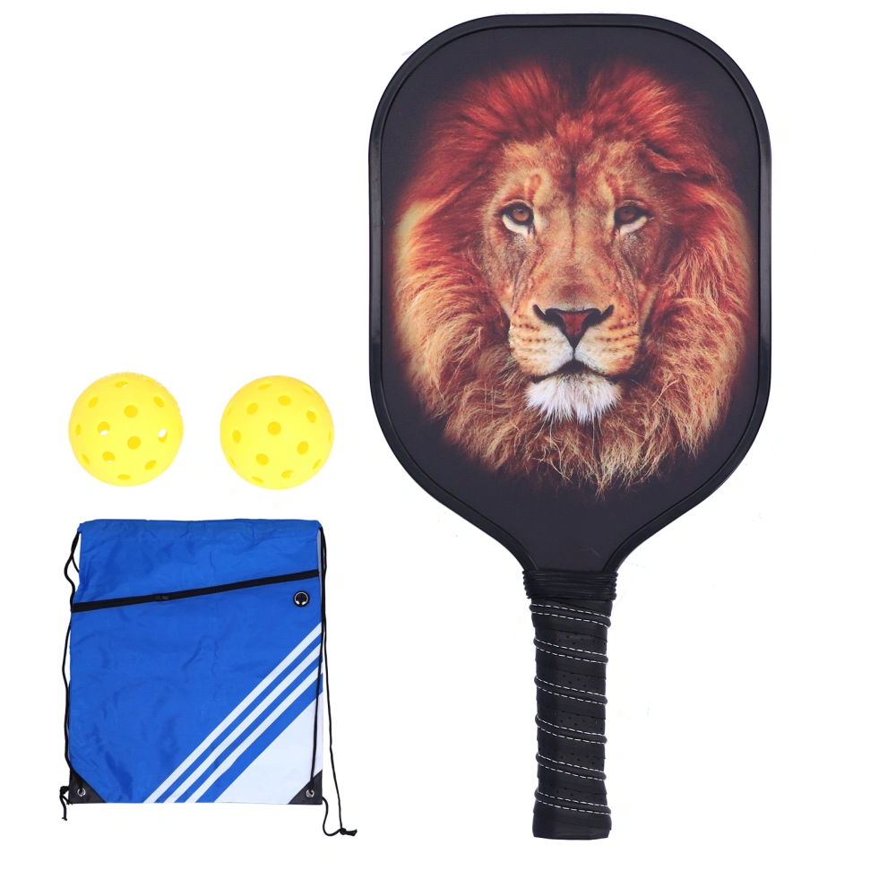 LEIJIAER Pickleball Paddle Set Carbon Fiber Face Racket with 2Pcs Ball and Storage BagPK‑061