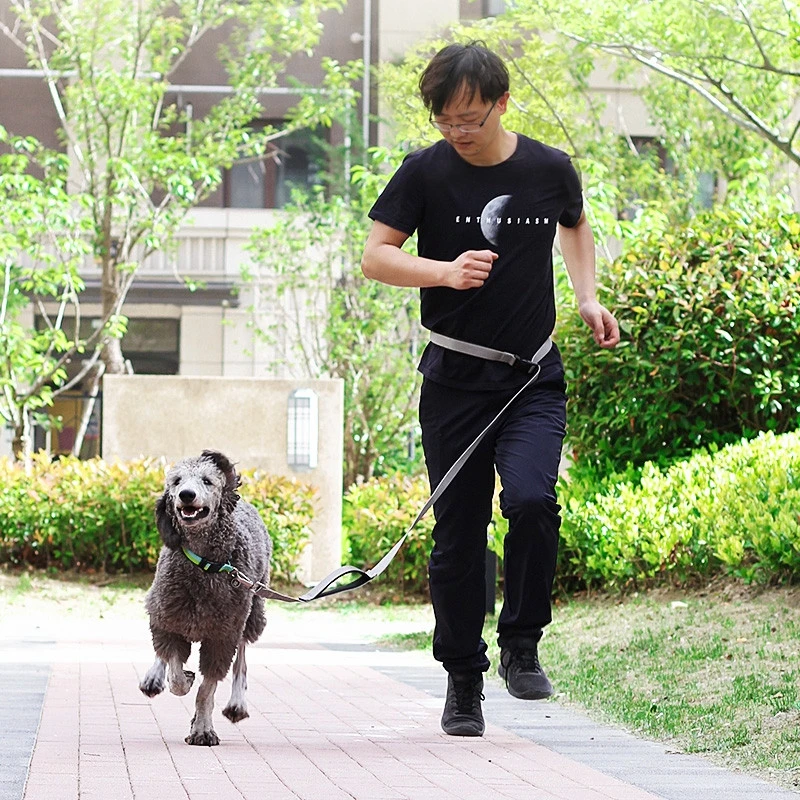 1.8m Long Dog Leash Multifunctional Traction Running