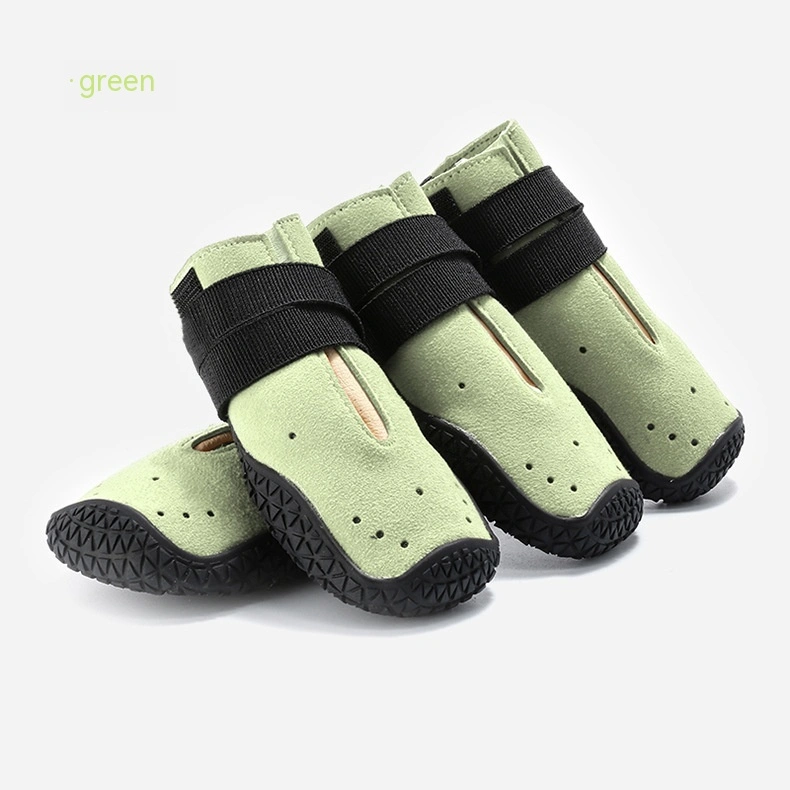 Four Seasons With Holes Pet Shoes