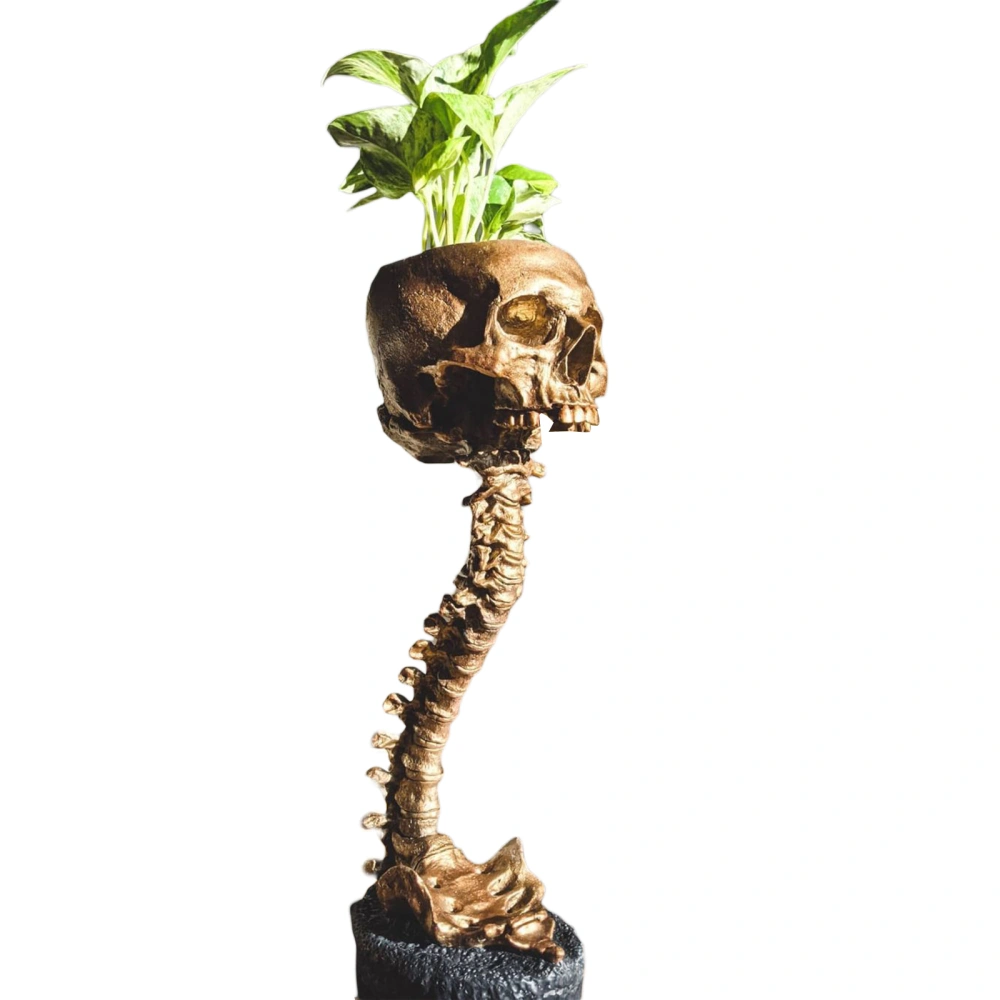 Skull with Backbone Plant Planter Pot Skulls Pot for Succulents