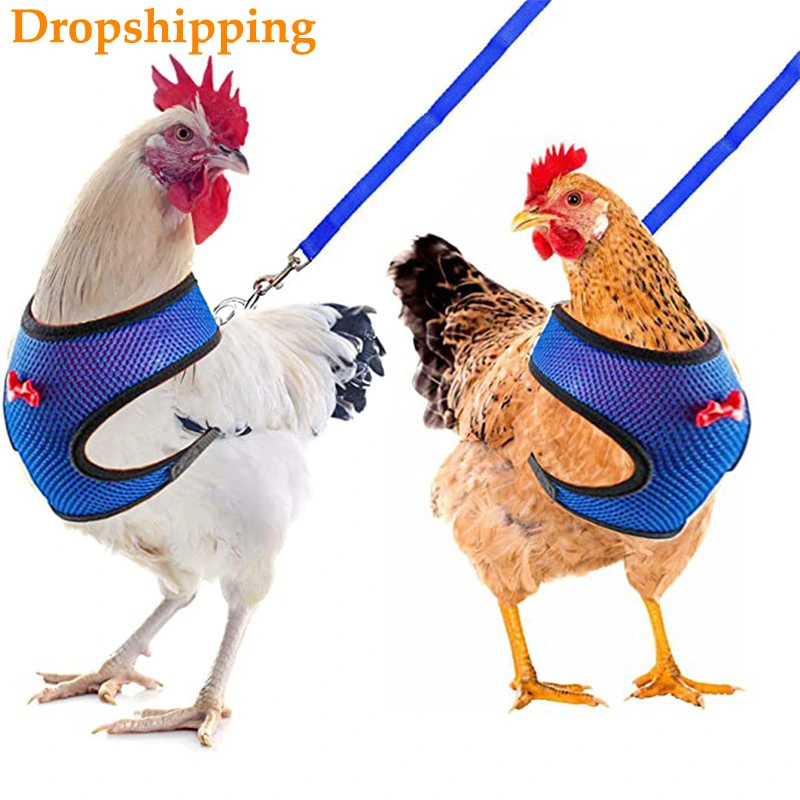 Pet vest style cat and dog breathable chicken and duck fashionable mesh pet harness set with bow pet plus traction rope