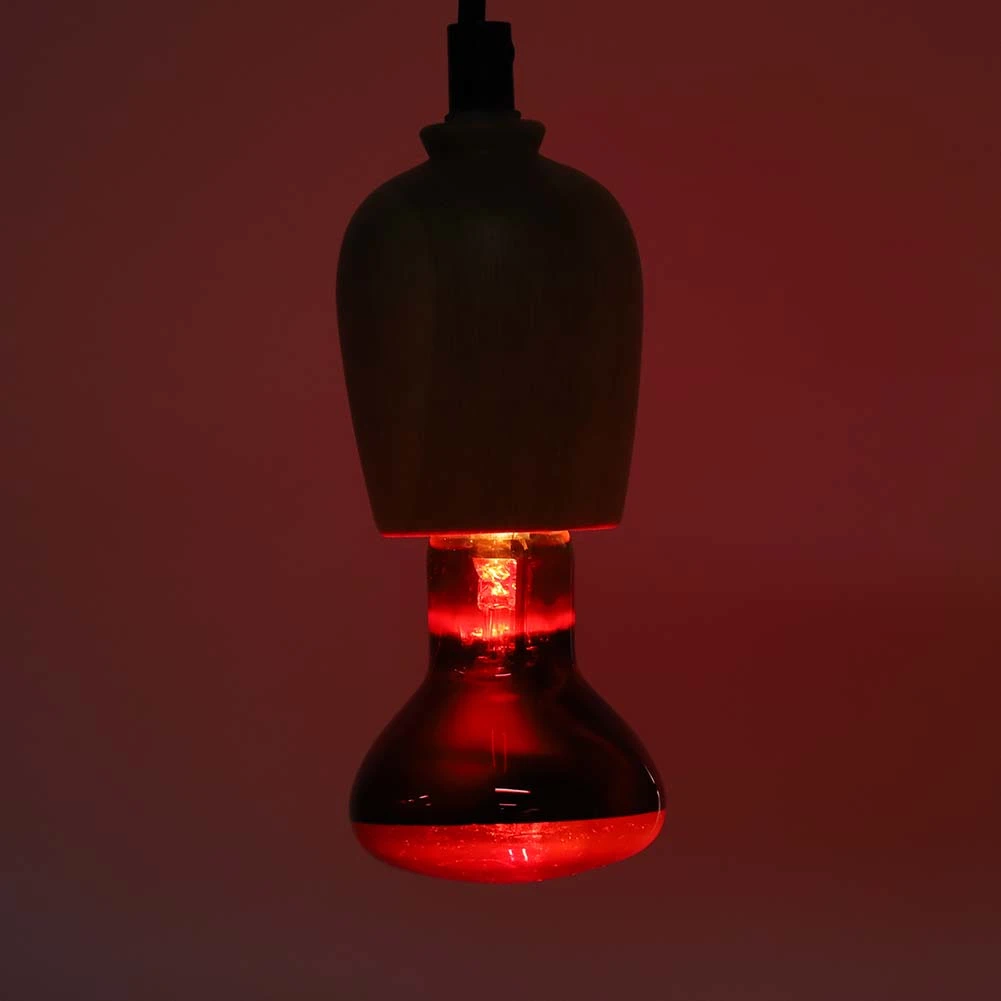 E27 R63 Infrared Reptile Light Bulb Animal Pet Heating Light Lamp Bulb for Tortoise Snake60W