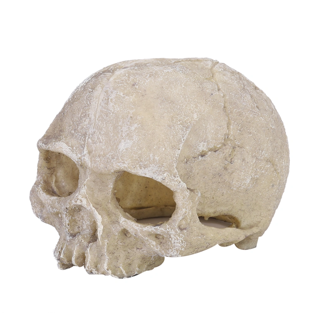 Resin Head Bone Skull Statue for Lizard Snake Spider Scorpion Cave Aquarium Fish Tank Landscape Decoration