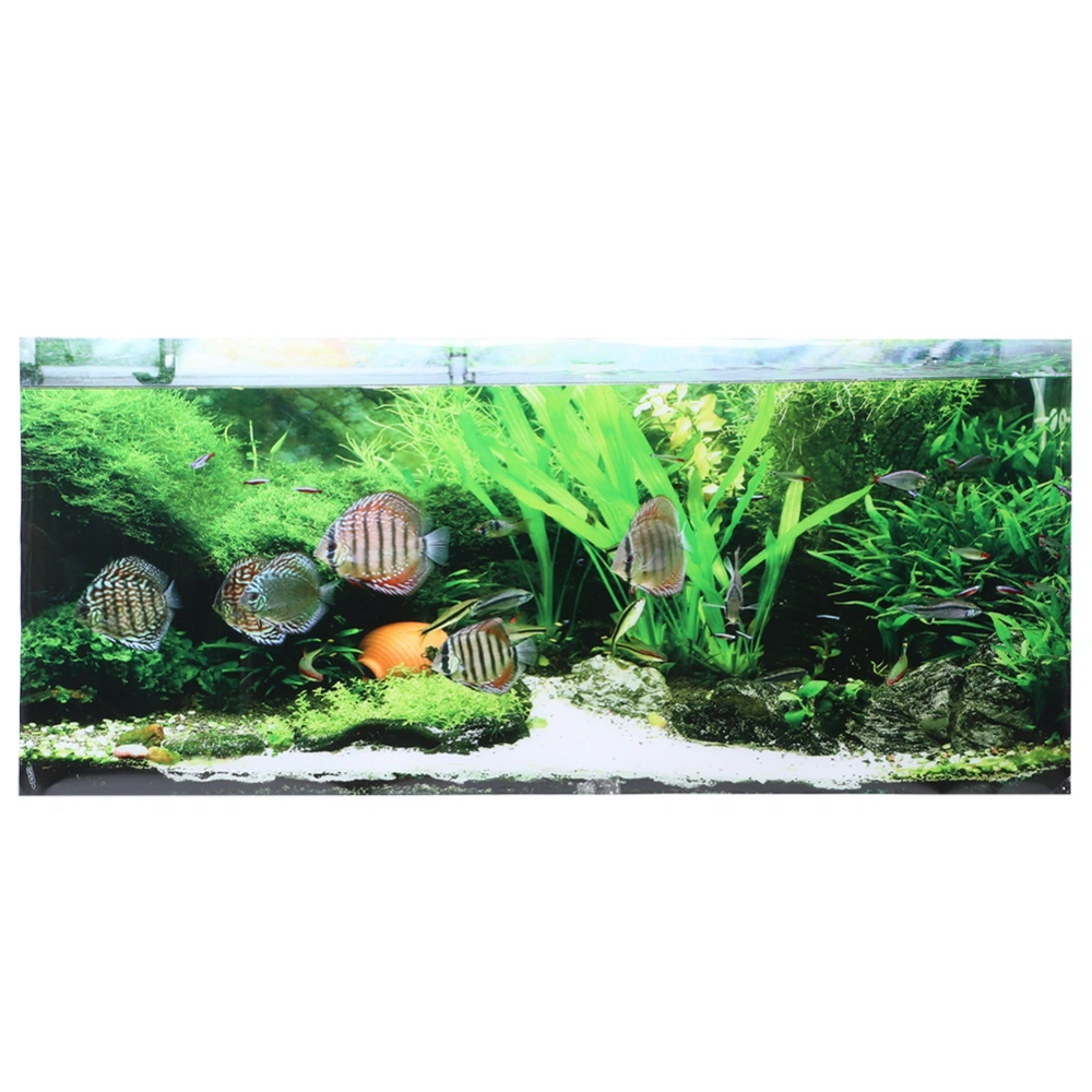 PVC Adhesive Seabed Small Fish Water Plants Aquarium Background Poster Sticker Fish Tank Decoration61x30cm