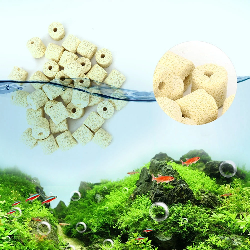 Bacteria Ring Filter Media Stone Filtratlon Material for Aquarium Fish Tank