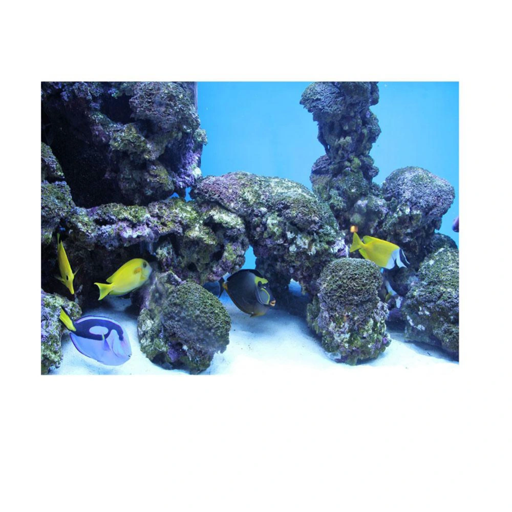 Coral Aquarium Background Underwater Poster Fish Tank Wall Decorations Sticker 91 x 50cm