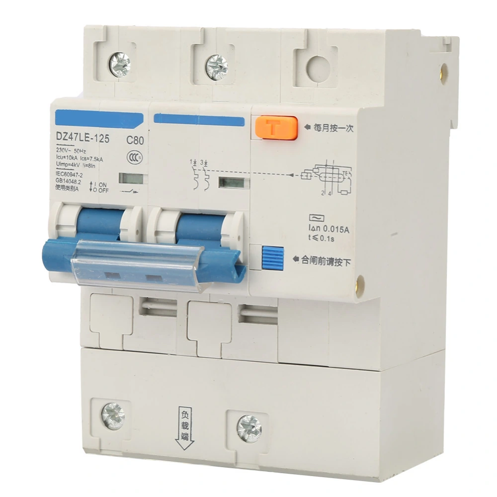 AC 230V 80/100/125A Leakage Protection Switch DZ47LE-125 2P Current Circuit Breaker(80A)