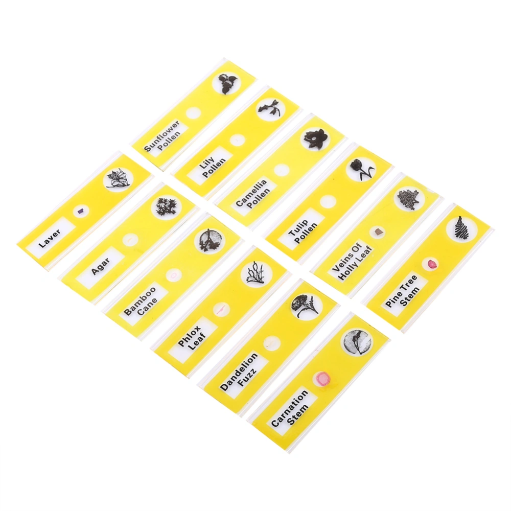 12pcs Plastic Prepared Microscope Slides Animals Insects Flowers Plants Yellow box