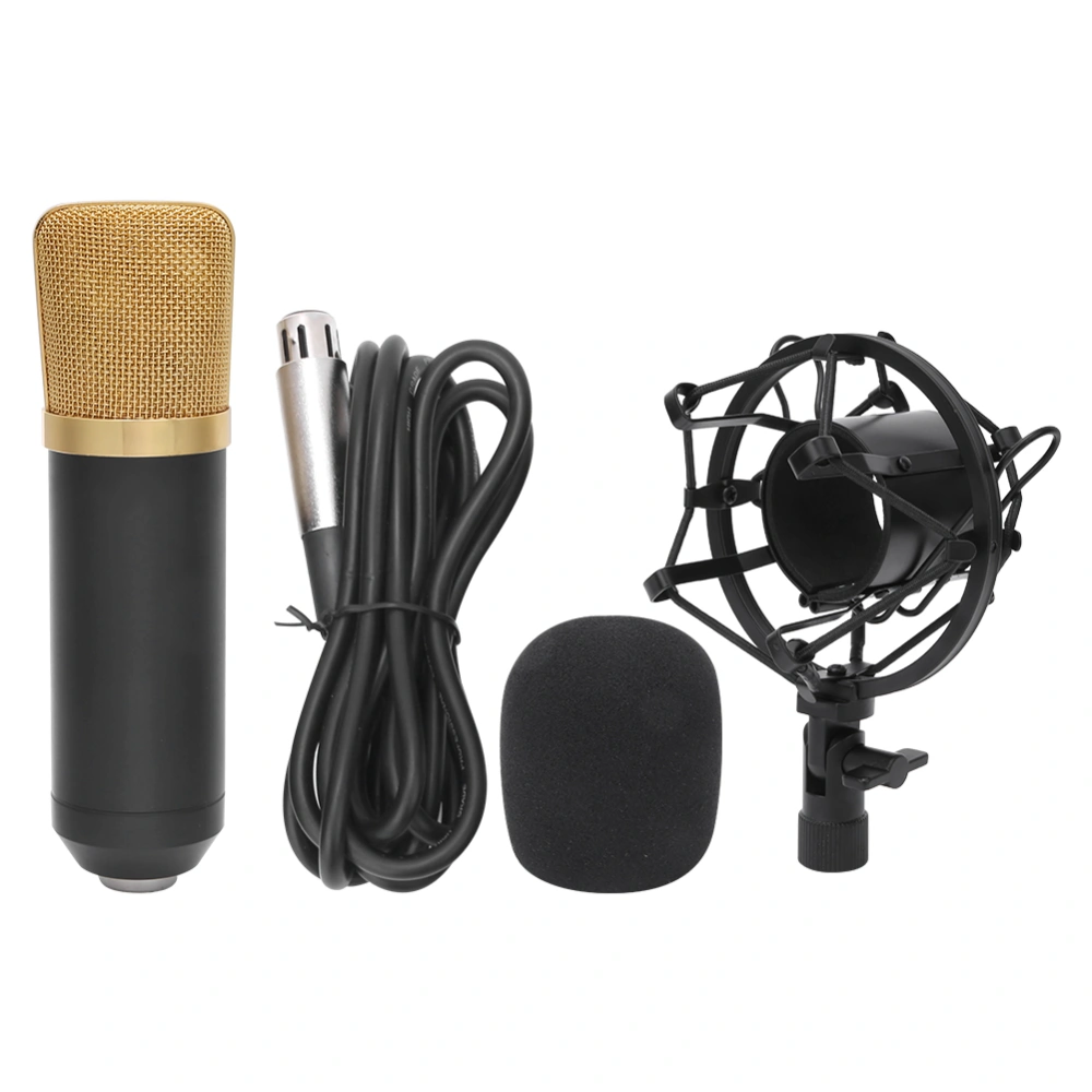 Microphone Black Professional Broadcast Recording Musical Instrument with Stand