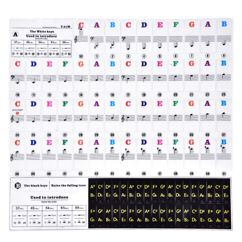 Piano Keys Sticker Set for Key Keyboards Removable for Beginners T21-M (Multicolor)