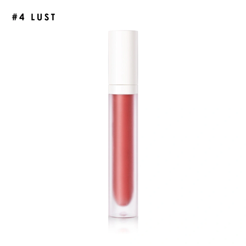 9 Colors Moisturizing Lipstick Longlasting Matte Lip Gloss Lip Makeup Cometic#4