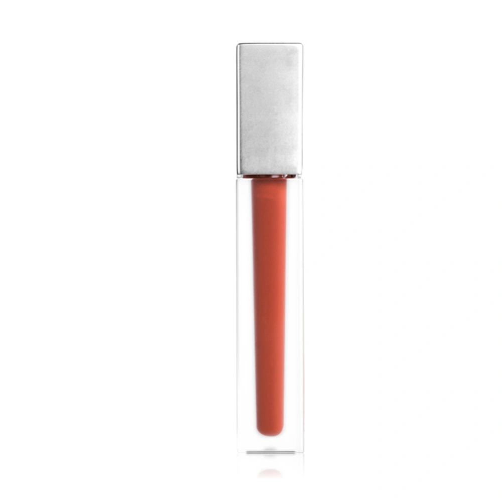 Matte Lipstick Lip Gloss Long Lasting Cosmetic Moisturizing Lip Makeup Lip Gloss#5